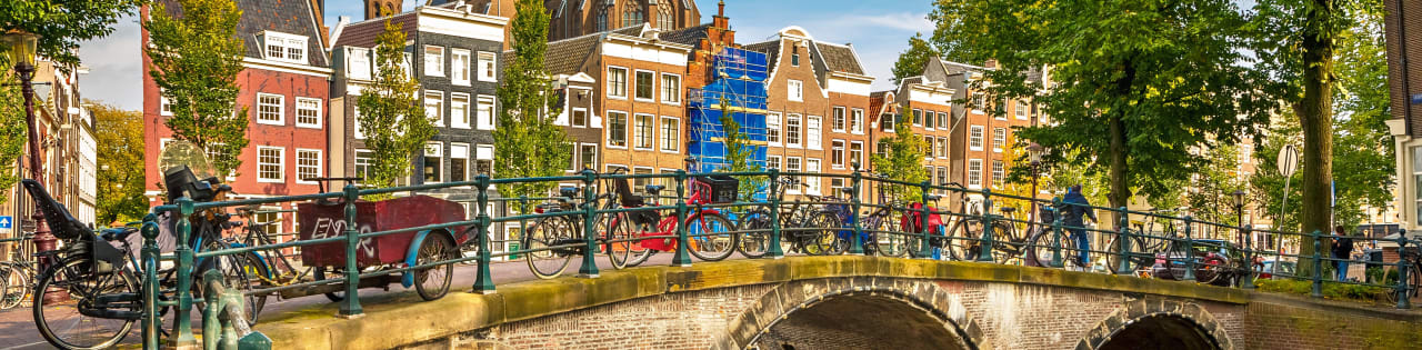 Vrije Universiteit Amsterdam - School of Business and Economics Part-time Executive MBA: Leading with Purpose